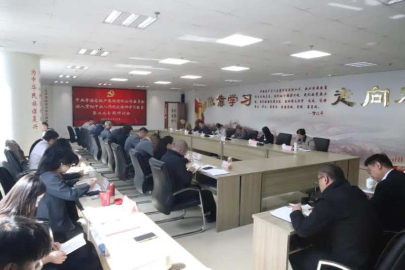 省物產(chǎn)集團黨委召開深入貫徹中央八項規(guī)定精神學(xué)習(xí)教育第二次專題研討會