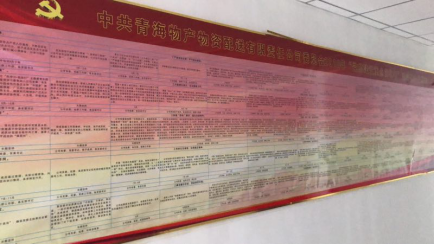 物產(chǎn)配送公司黨委&ldquo;黨的建設(shè)重點(diǎn)強(qiáng)化年&rdquo;活動(dòng)2018年工作任務(wù)、組織保障具體化